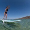 TAO SURF 10'6'' X 31.5''