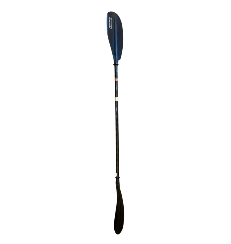 EGALIS SWING THERMO FORMED CARBON FIBRE