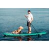AMBER FACTOR 11'5" LITE