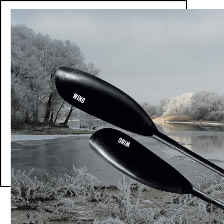 EGALIS WING CARBON SHAFT