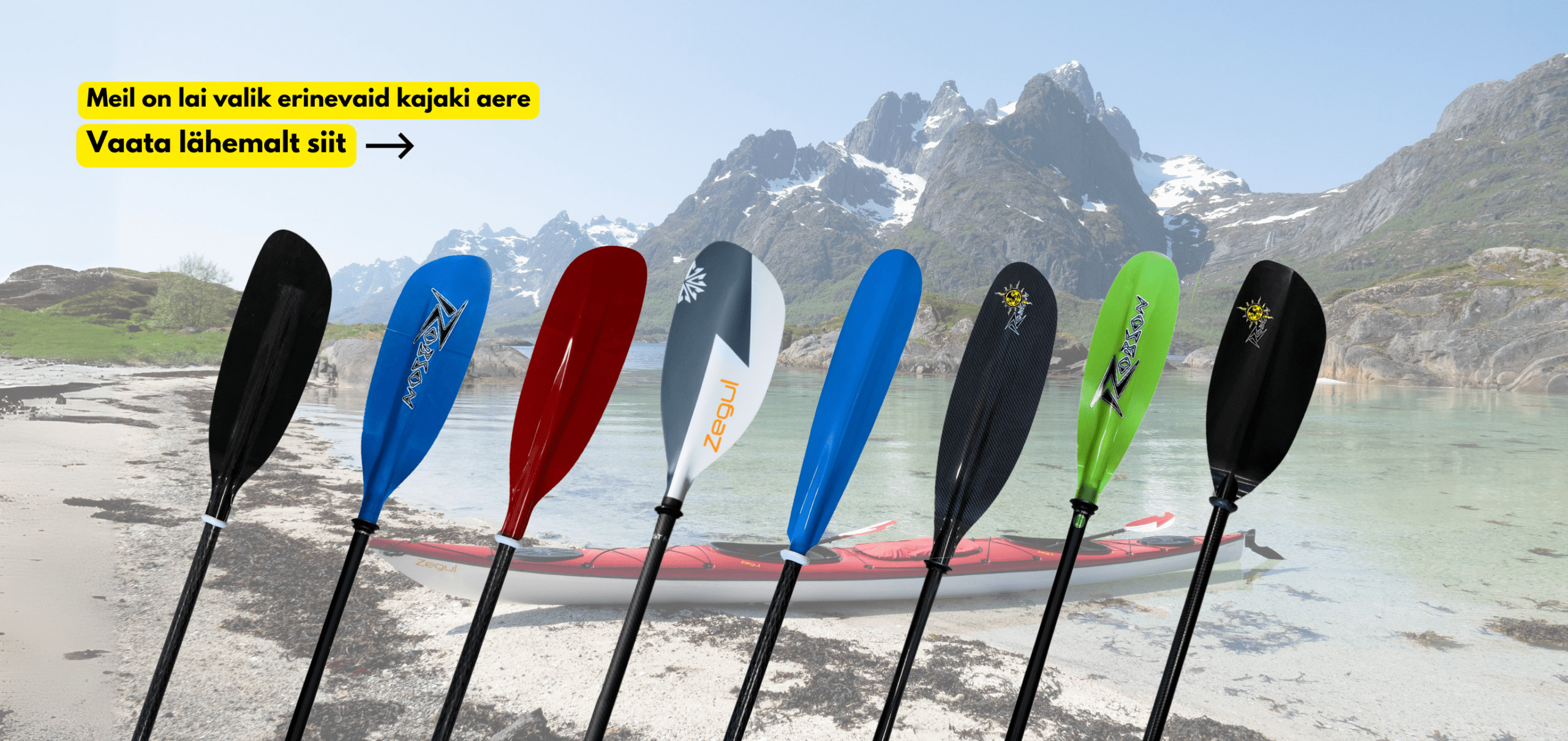 PADDLES