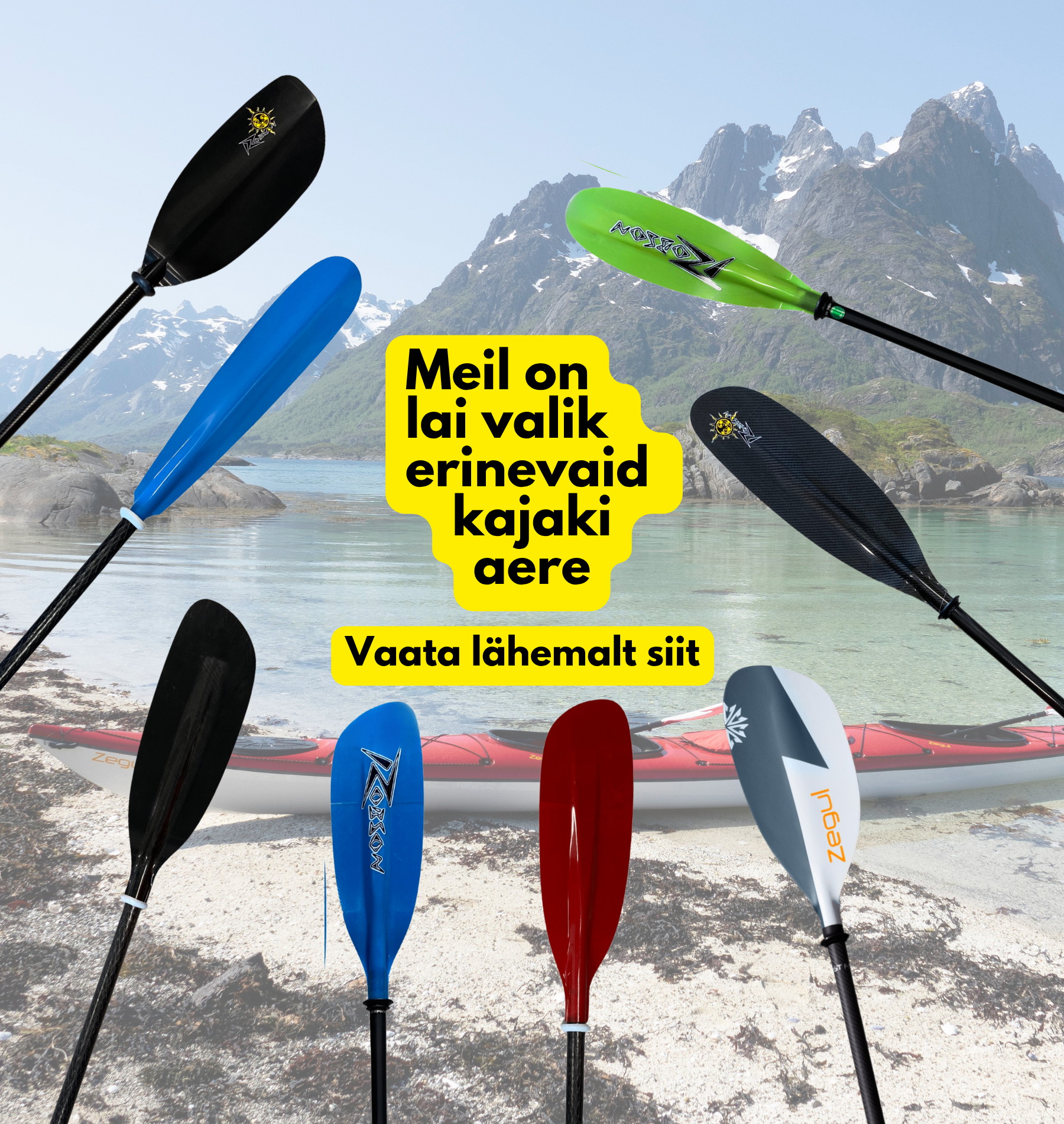 PADDLES