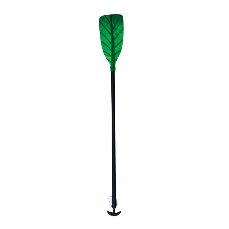 ROBSON C1 CHLOROPHYLL