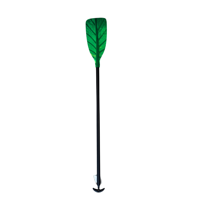 ROBSON C1 CHLOROPHYLL